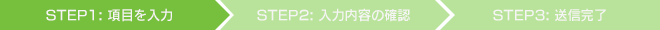STEP:1 項目を入力