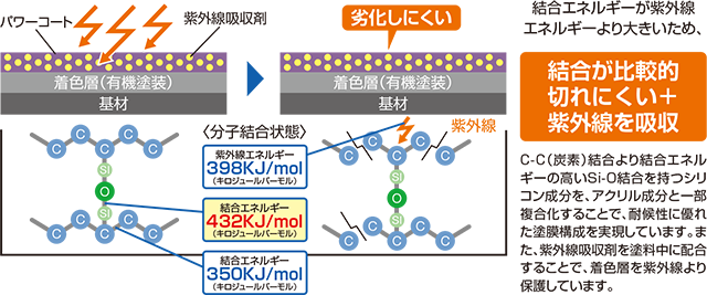 結合が比較的切れにくい＋紫外線を吸収